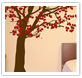 wall graphics